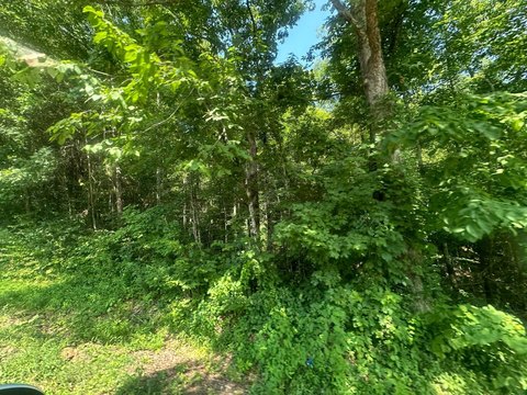Land Near Holly Creek Marina