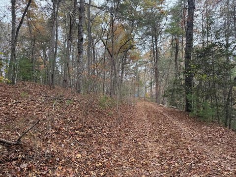Vacant Lot, Brasstown, NC