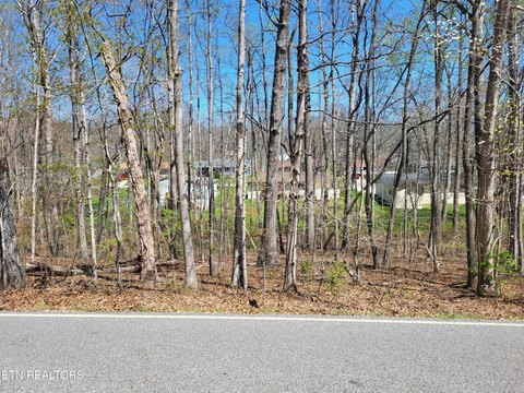 Crossville, TN Wooded Lot