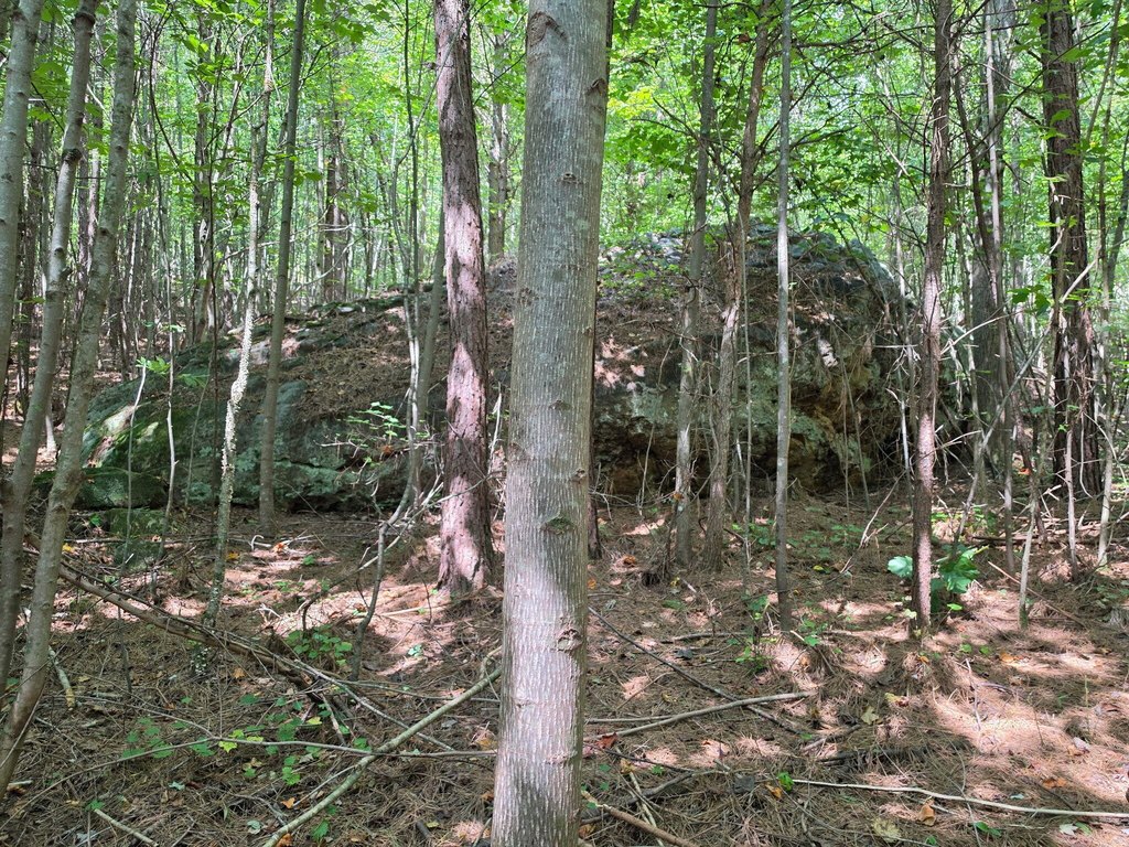 Picture 14