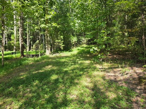 Land, Soddy Daisy, TN
