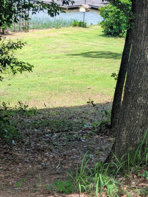 Picture 4