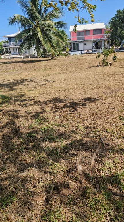 Picture 5