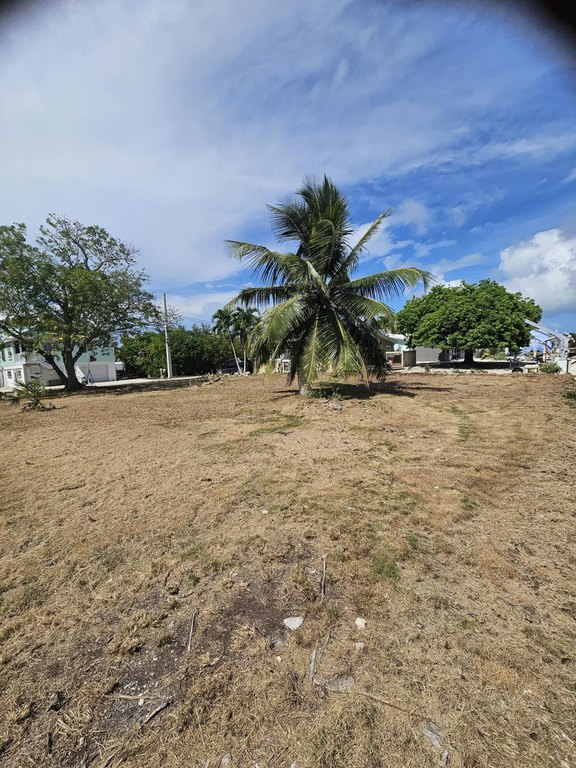 Picture 8