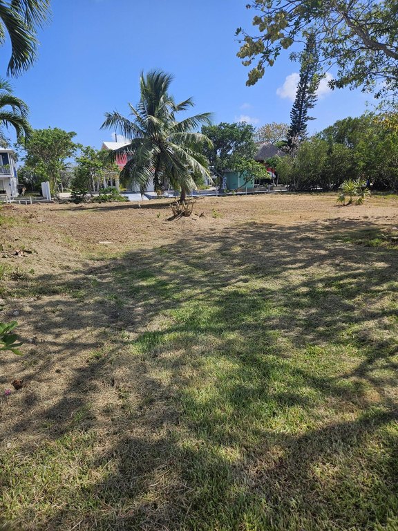 Picture 18