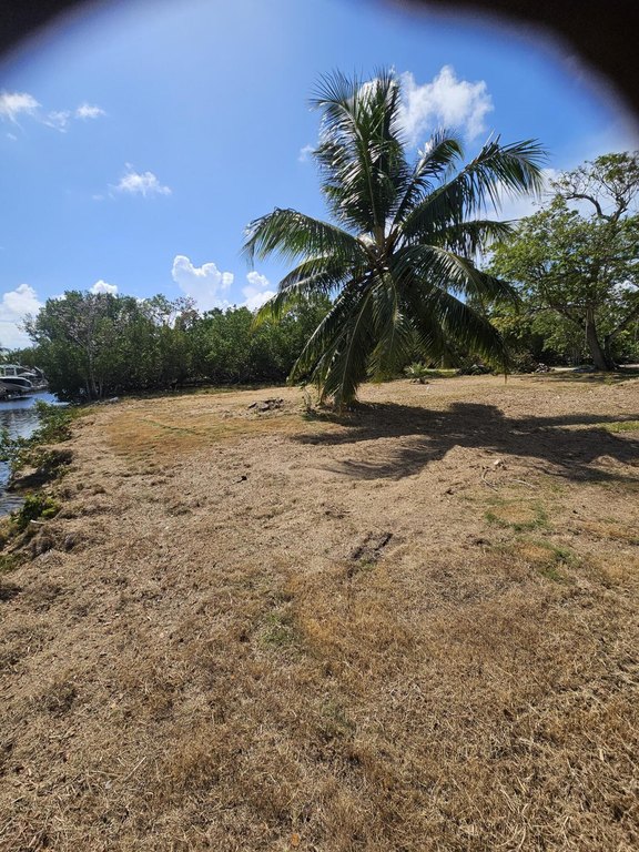 Picture 12