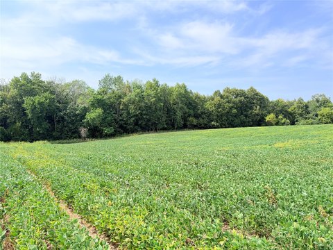 Land, St Croix Falls, WI