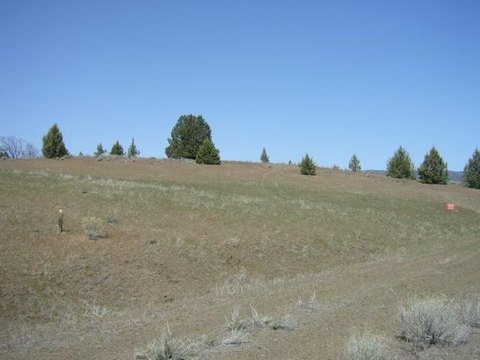 Land with Panoramic Mountain Views