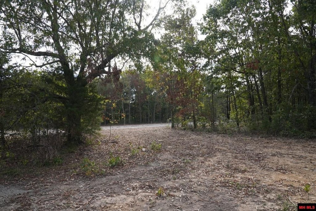 Picture 15