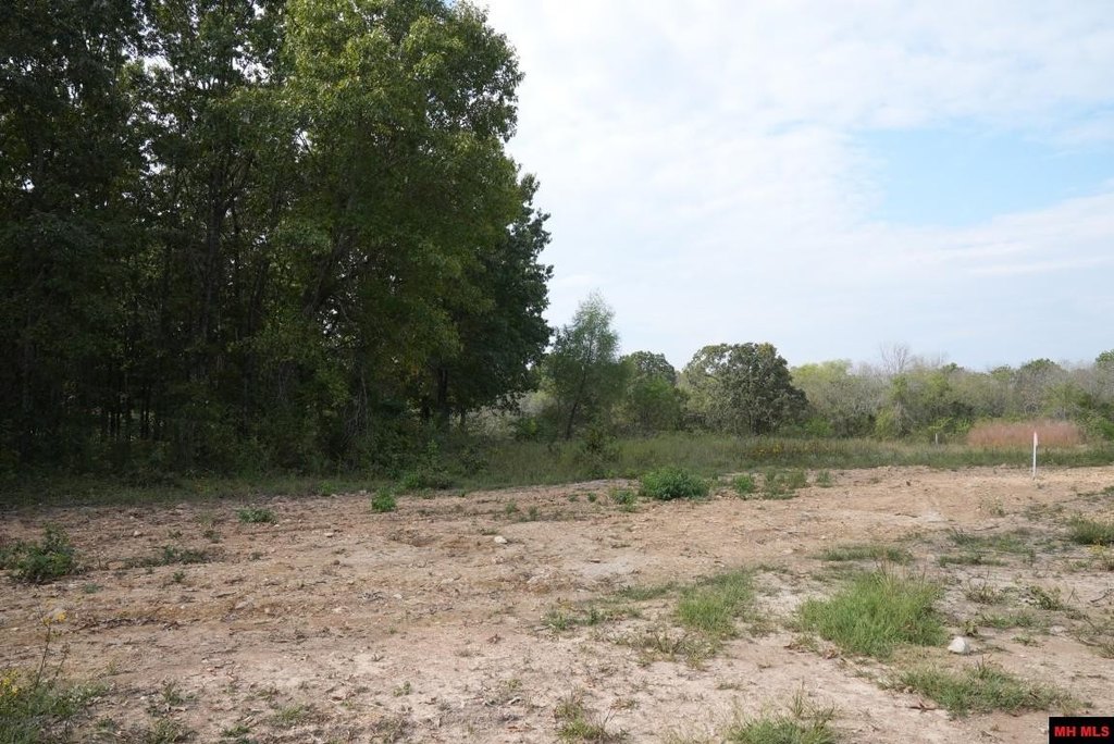Picture 14