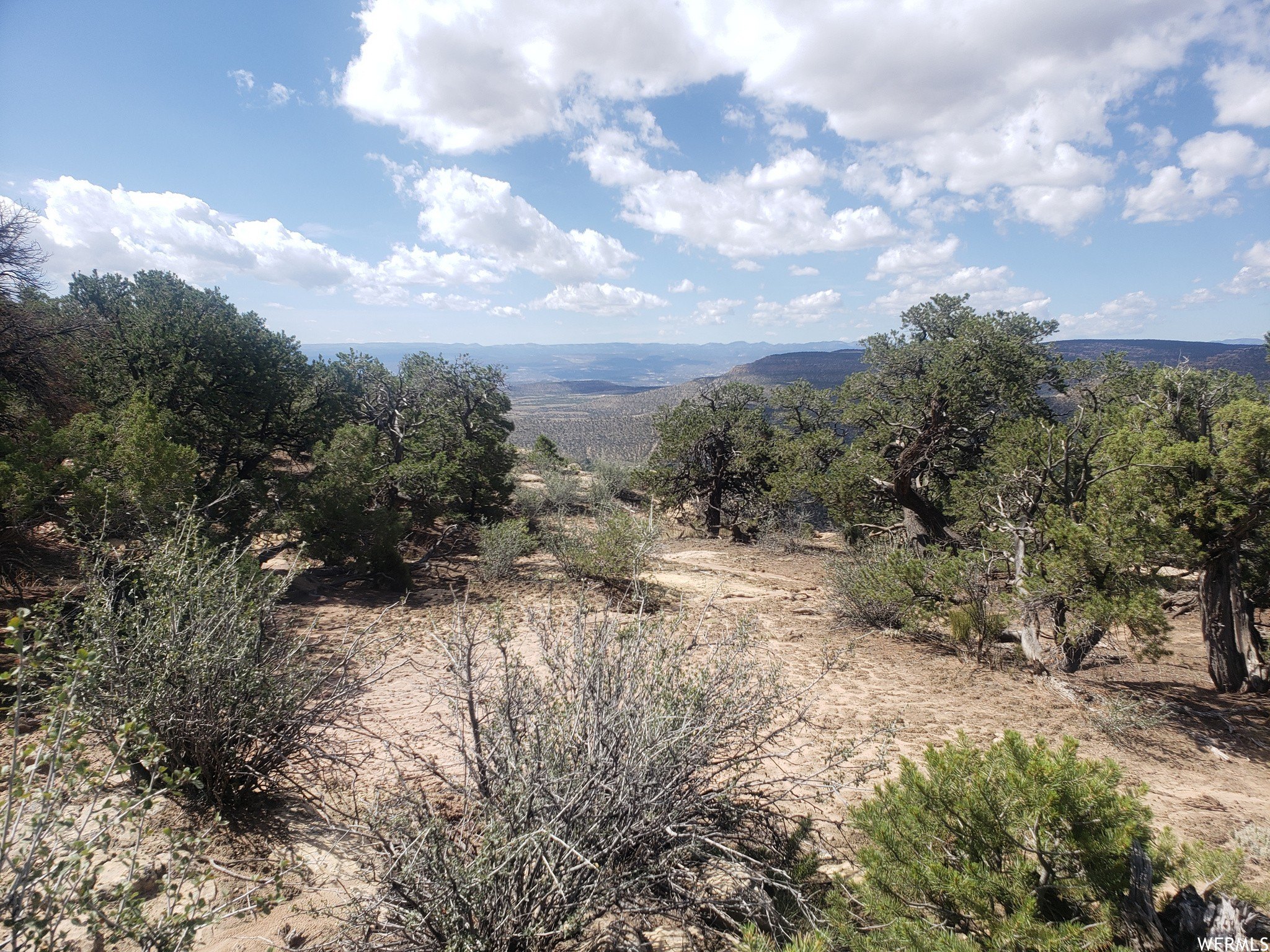 Land with Trees and Views