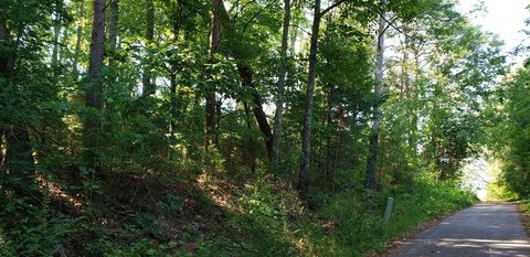 Residential Land in Dunlap, TN