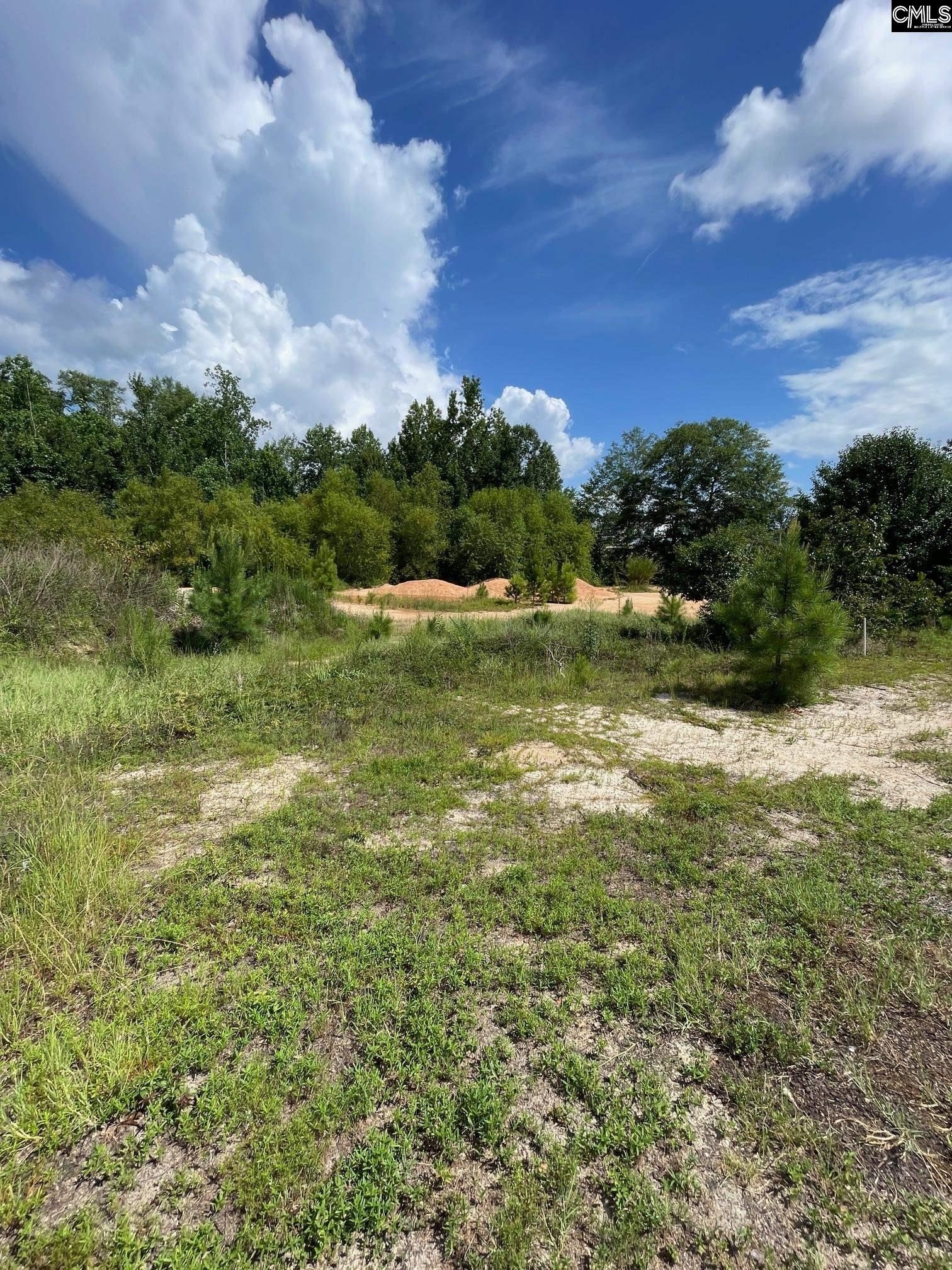 Residential Lot in Camden, SC