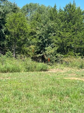 Wooded Homesite with Road Frontage