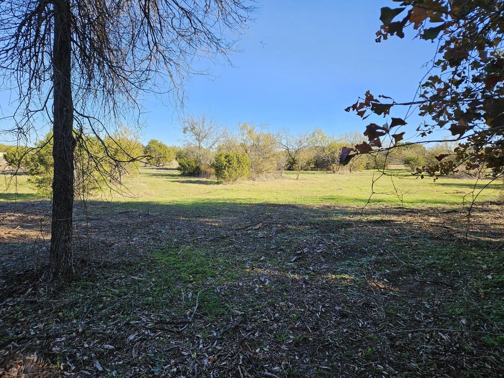 Picture 14