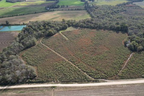 Hunting and Agricultural Land Tract