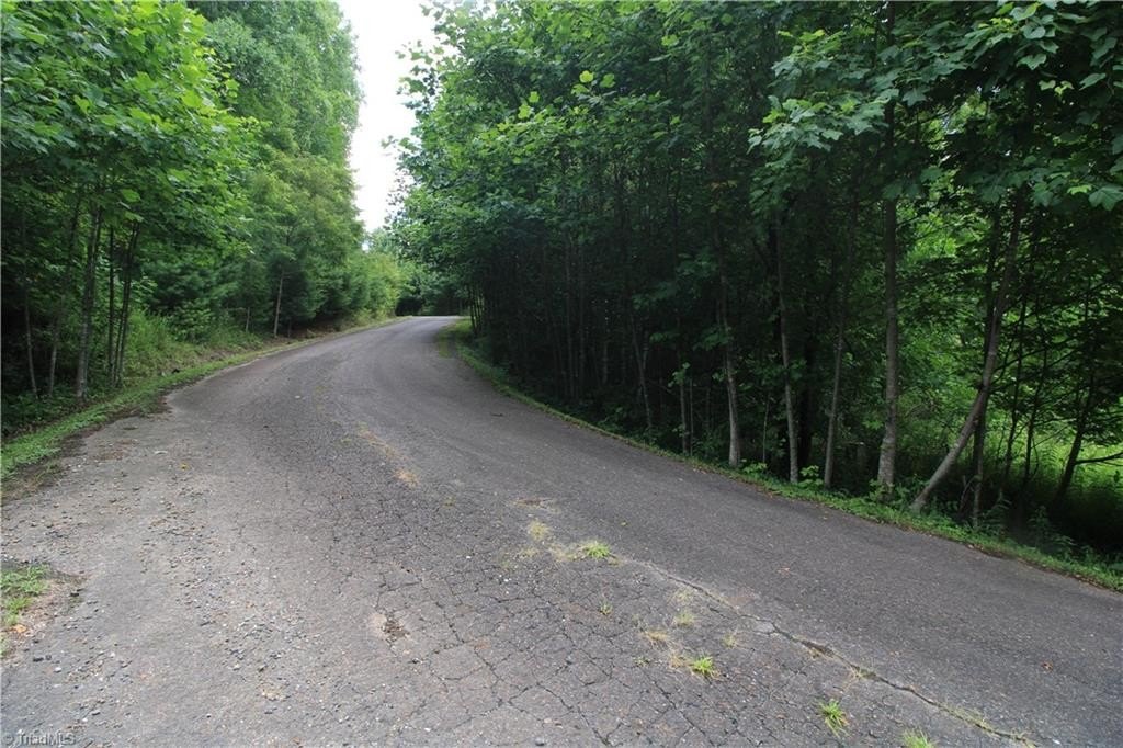 Picture 8