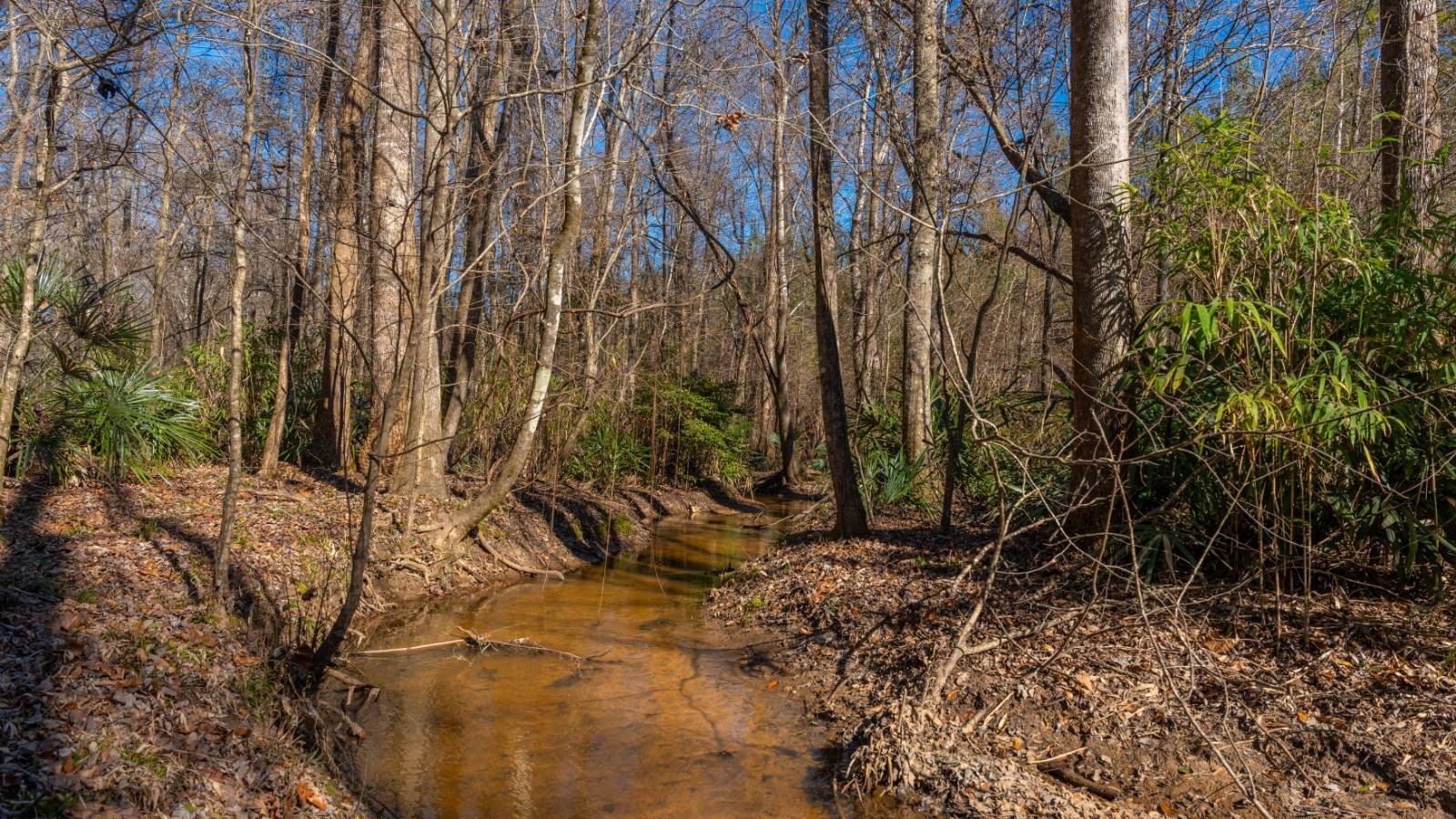 Webster County Timberland and Recreation