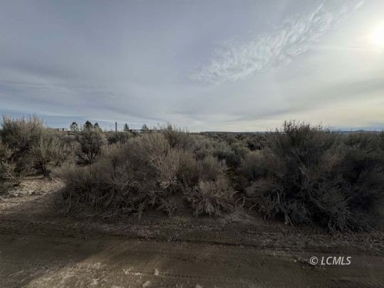 Christmas Valley Land with Utilities
