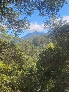 Fairfax Land with Mountain Views