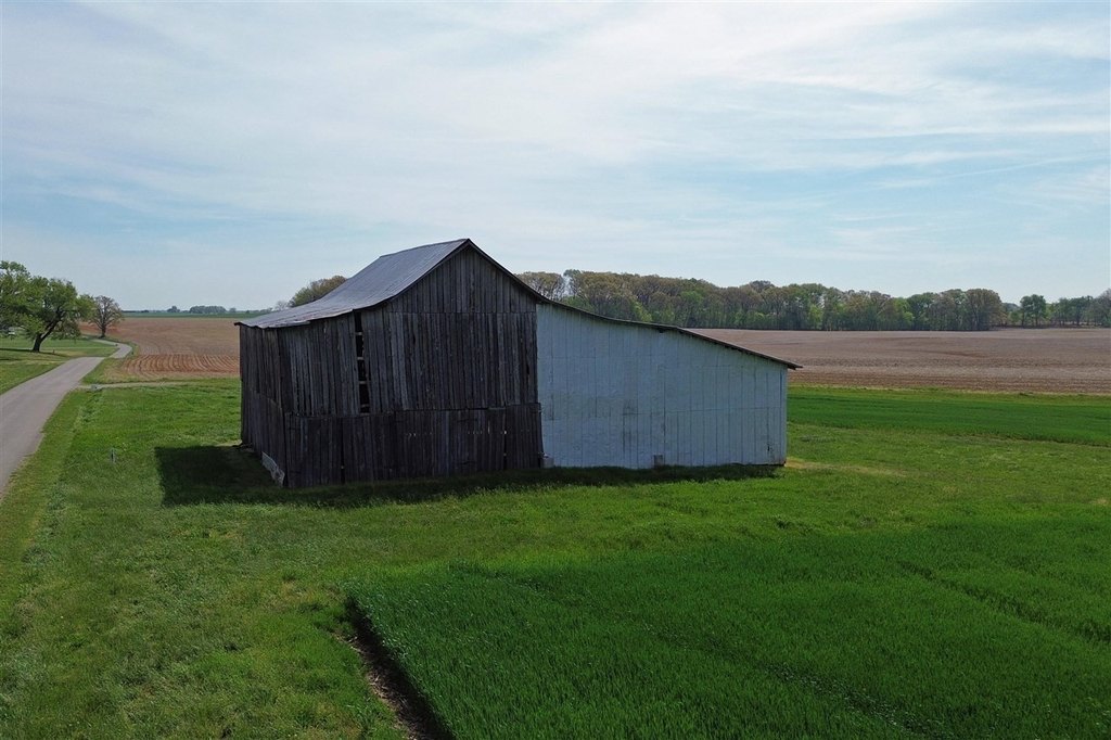 Picture 9