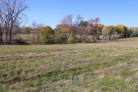LAND, LAKE CARROLL, IL