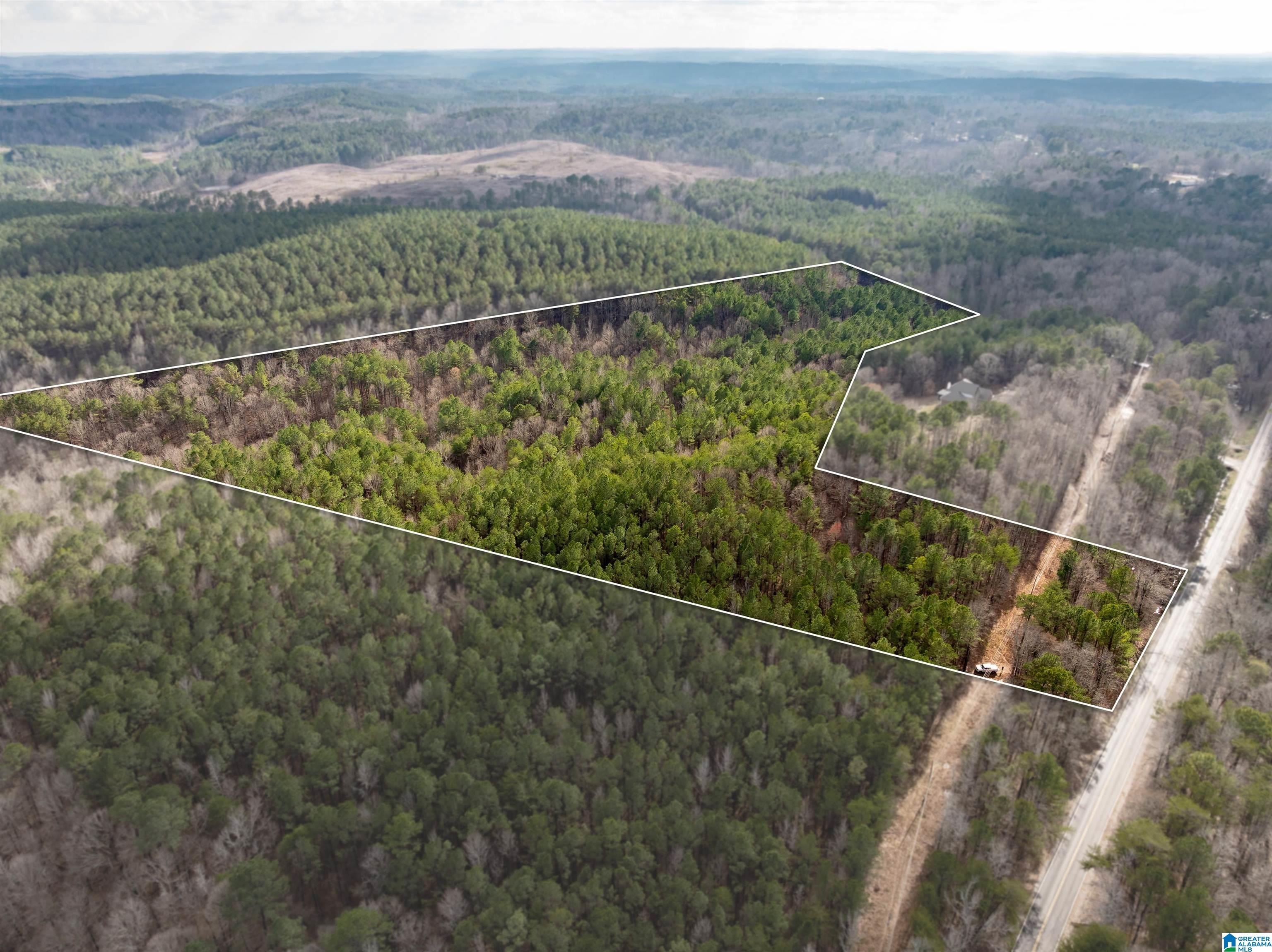 Wooded Acreage in Bessemer, Alabama