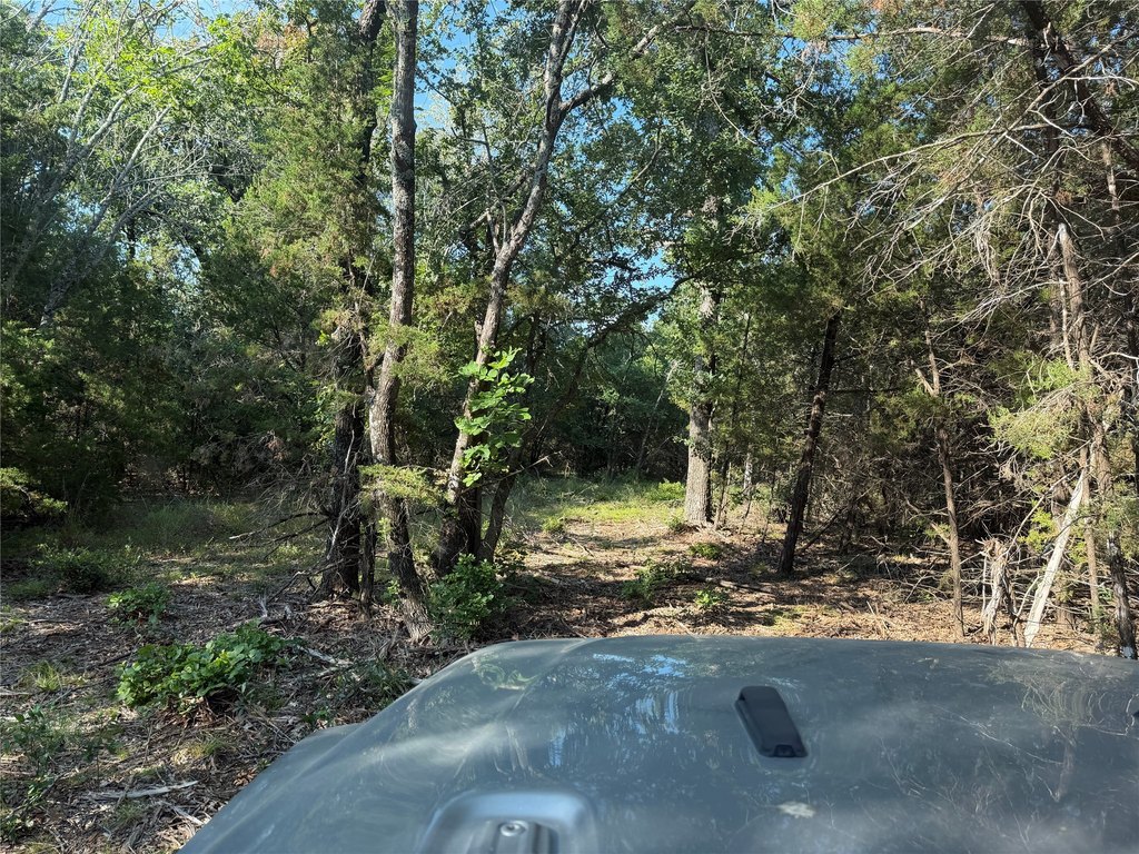 Picture 24