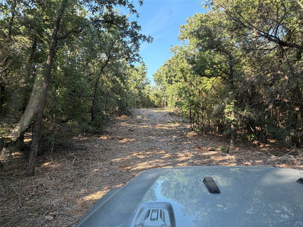 Picture 19