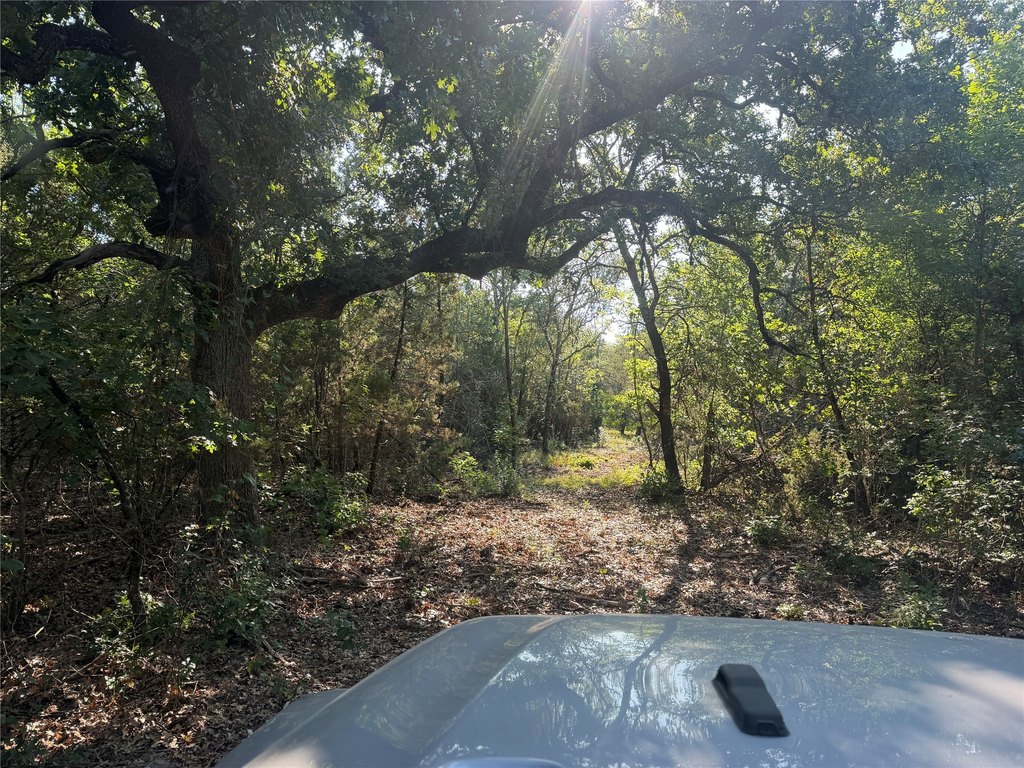 Picture 23