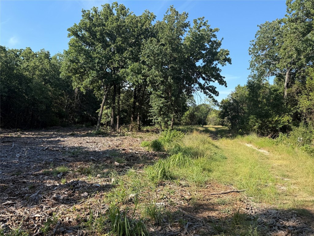 Picture 26