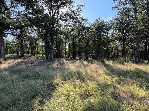 LAND - Other - Morgan, TX