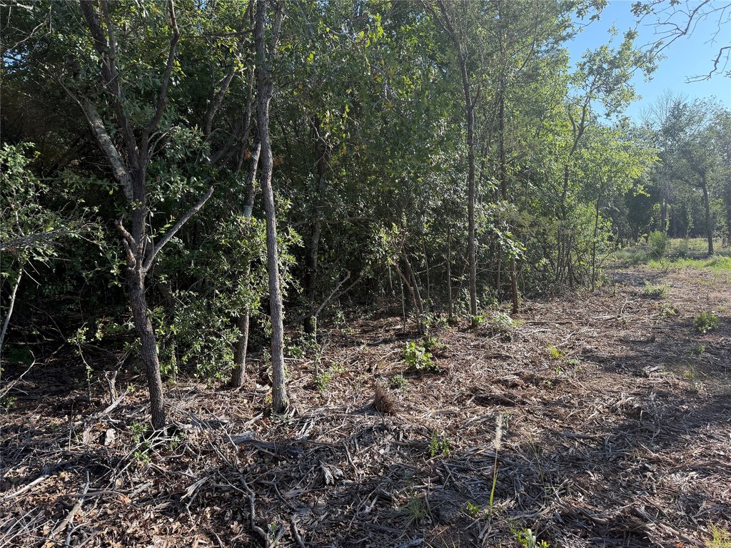 Picture 13