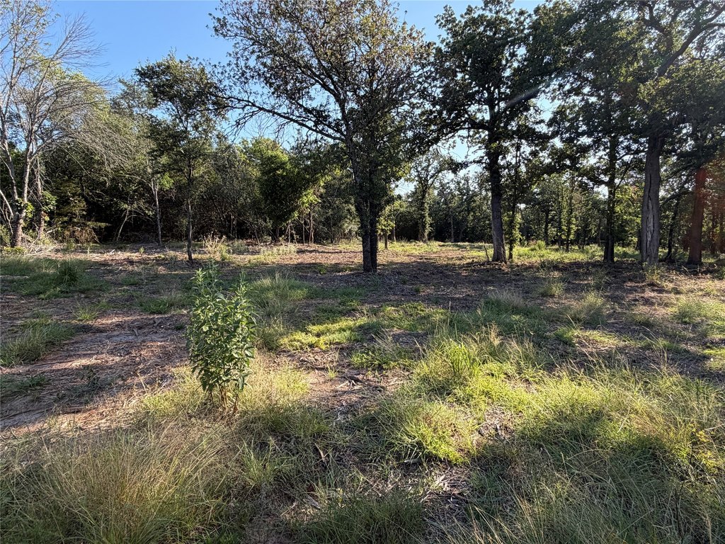 Picture 15