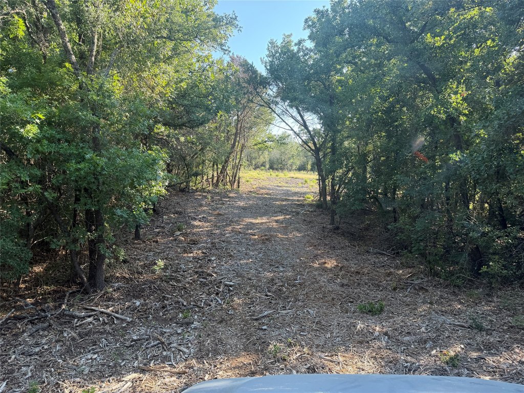 Picture 22
