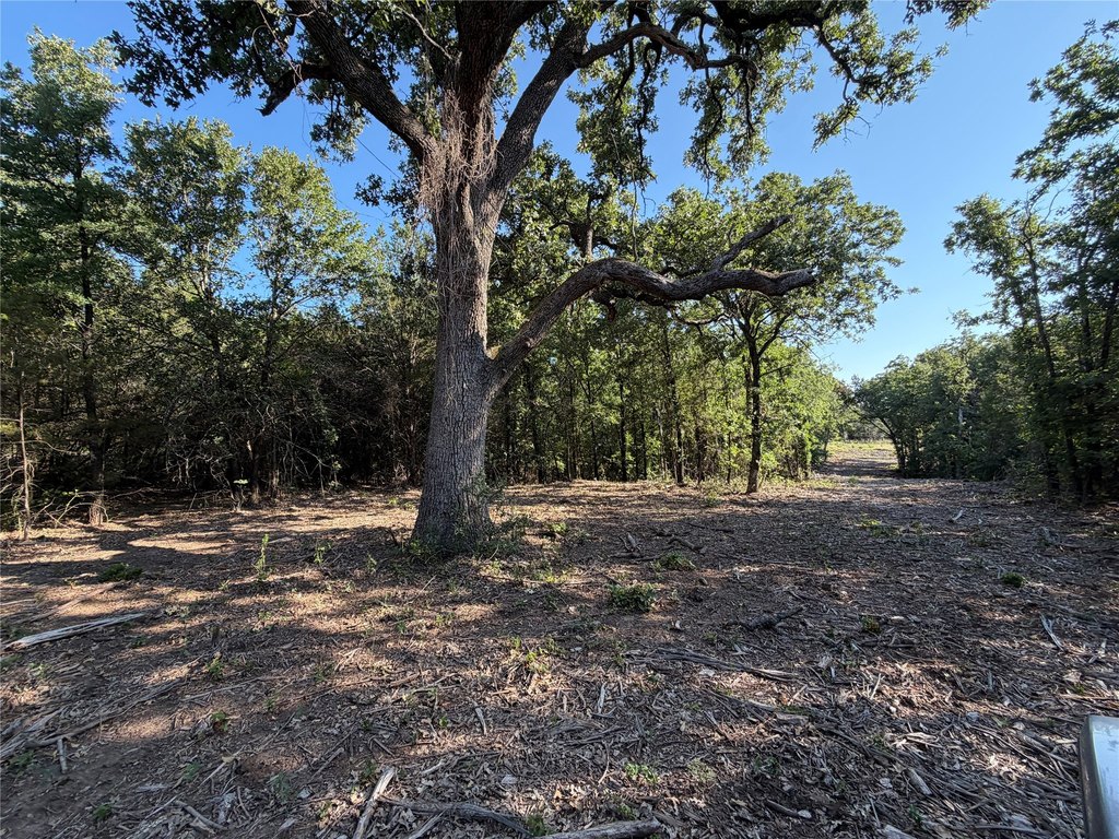 Picture 21