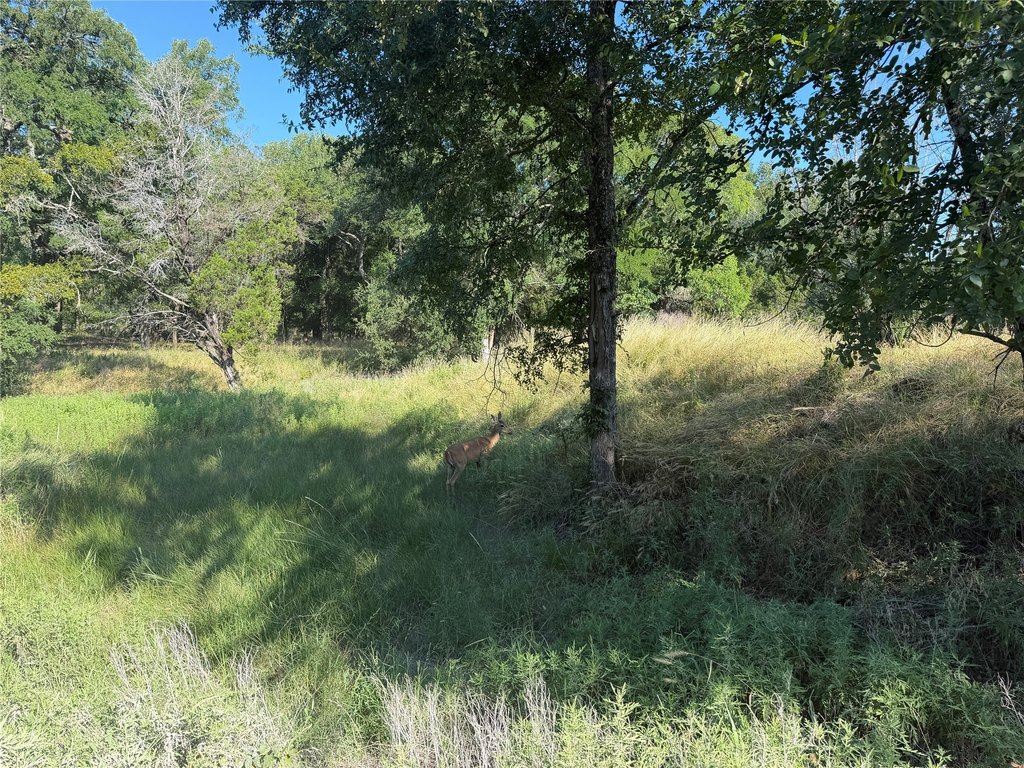 Picture 30