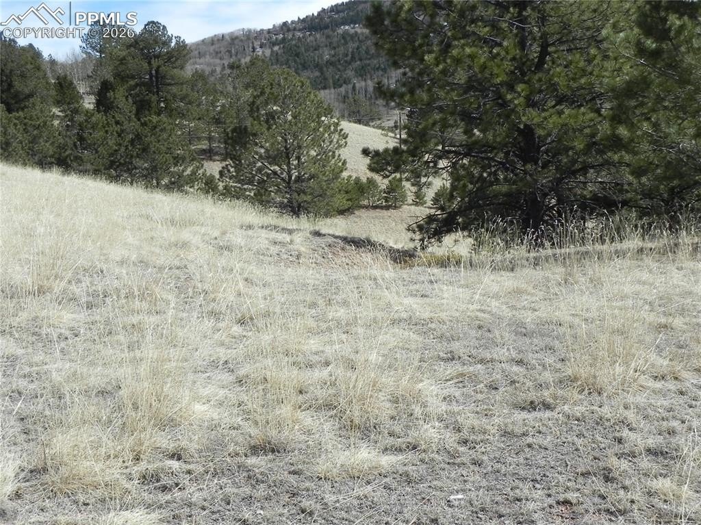 Picture 9