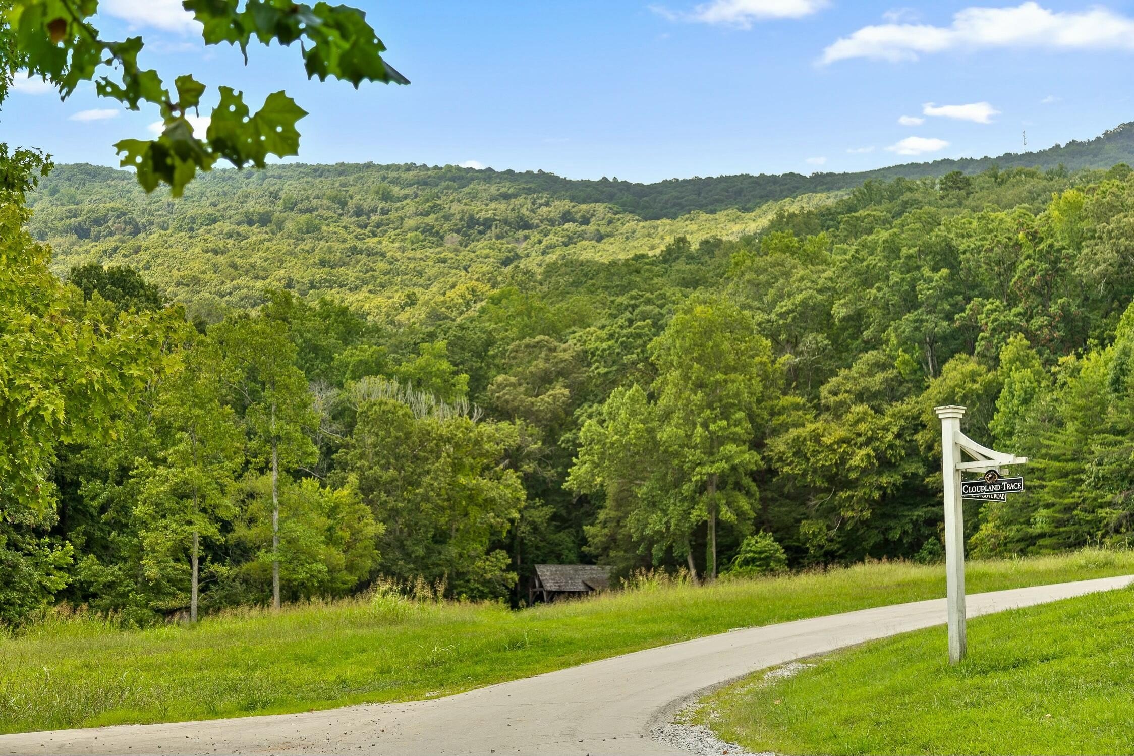 Cloudland Station Homesite with Meadow Views