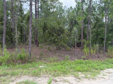 Land, OCALA, FL