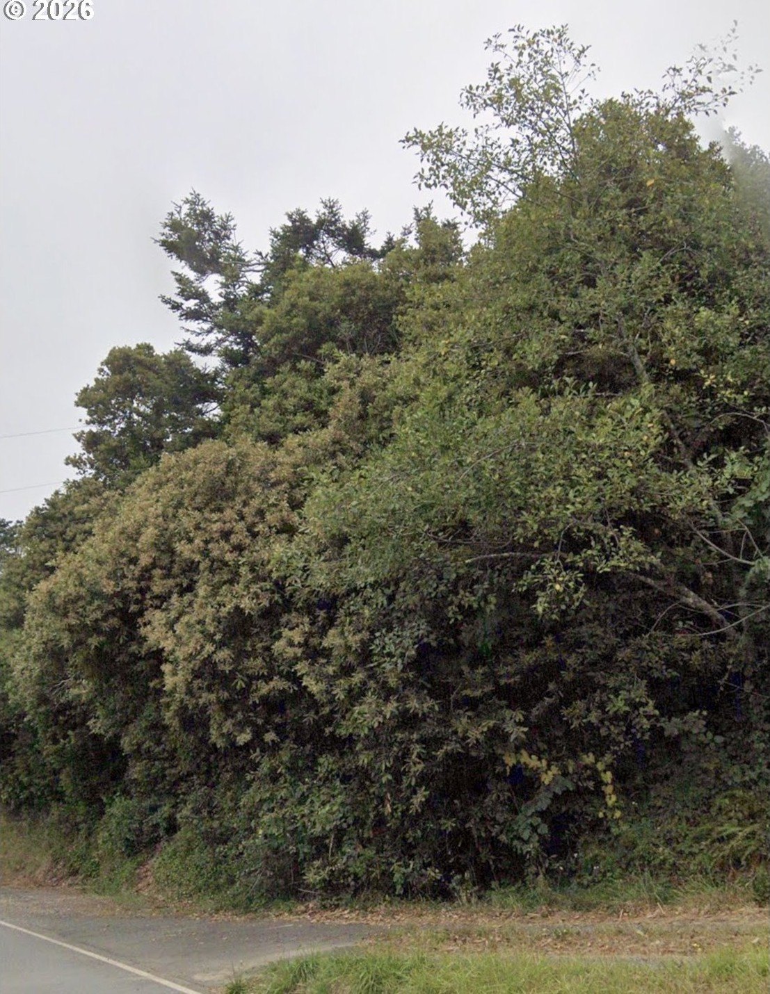 Nesika Beach Acreage Opportunity