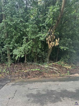 Residential Lot in Warner Robins
