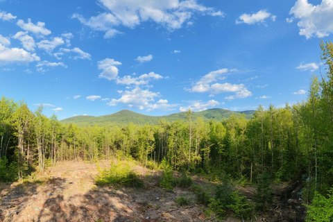 LAND - Sandwich, NH