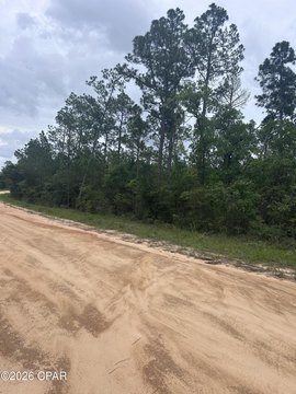 LAND - Alford, FL