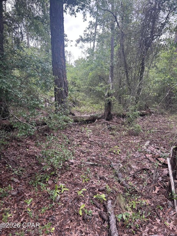 Picture 3