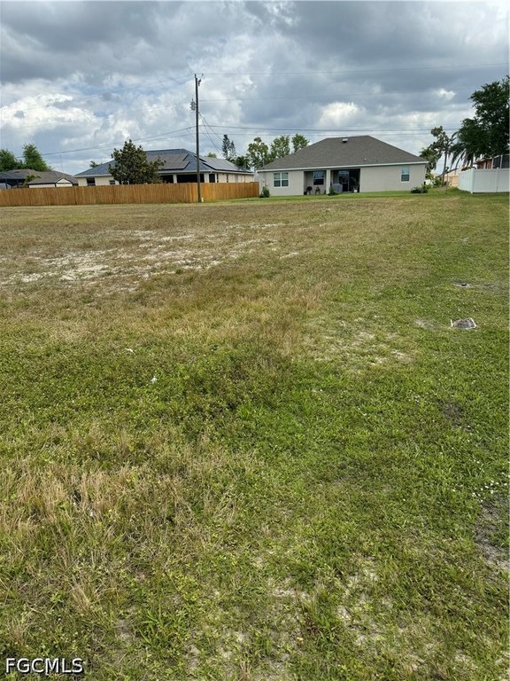 Picture 4