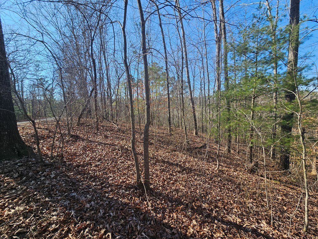 Picture 22