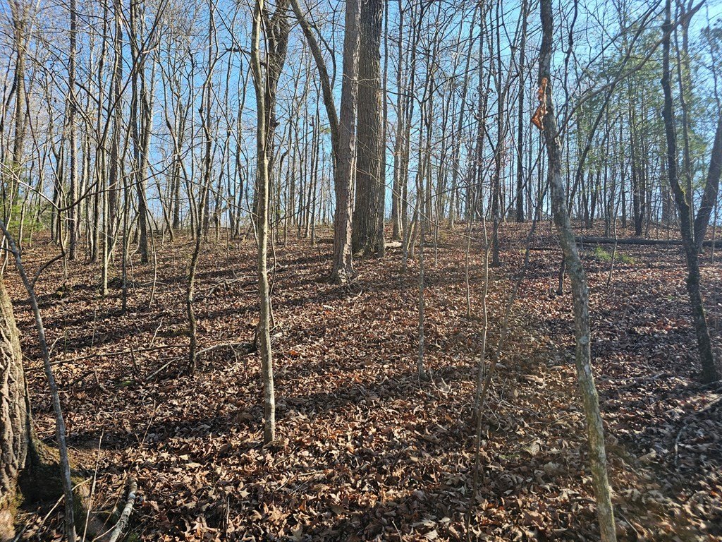 Picture 17