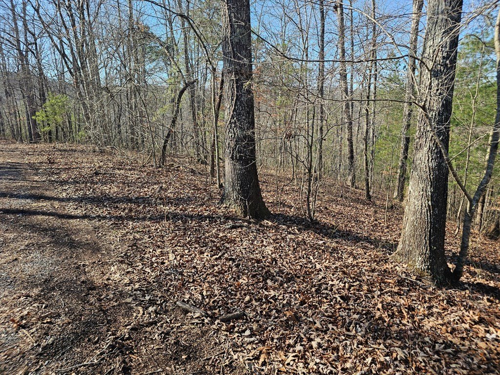 Picture 3
