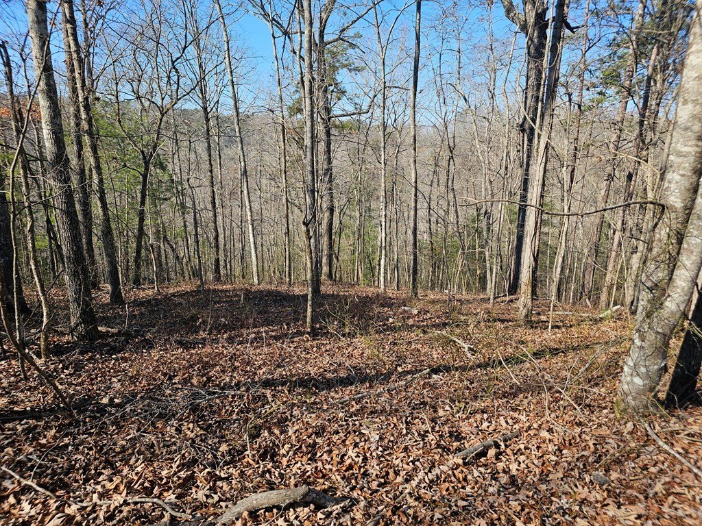 Picture 8